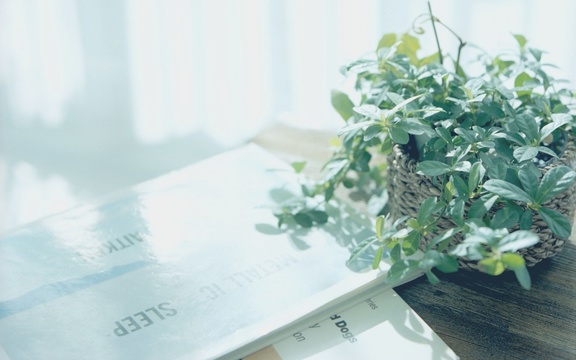 小学生关于春节愿望英语小短文