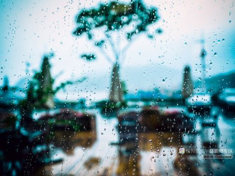 《倾城之恋》一点点“真”