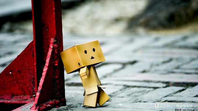 有关团结合作的励志故事四则