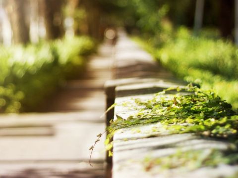 大学生青春正能量演讲稿