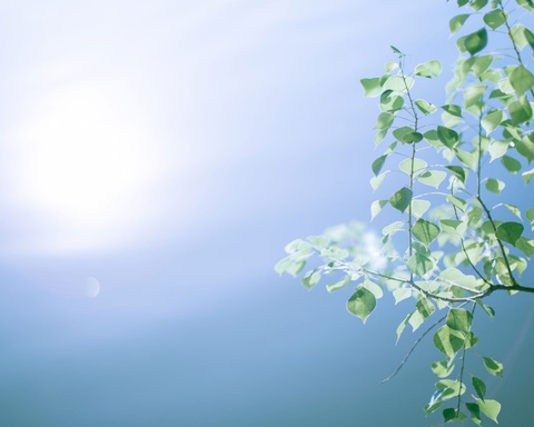 积极思考的力量 职业成功励志书籍