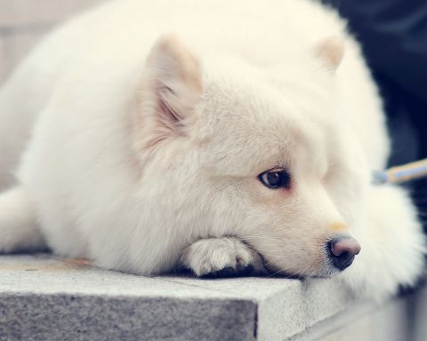 增强个人自信心的小故事