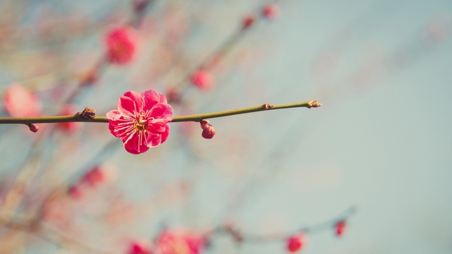 《假如给我三天光明》渴望看世界