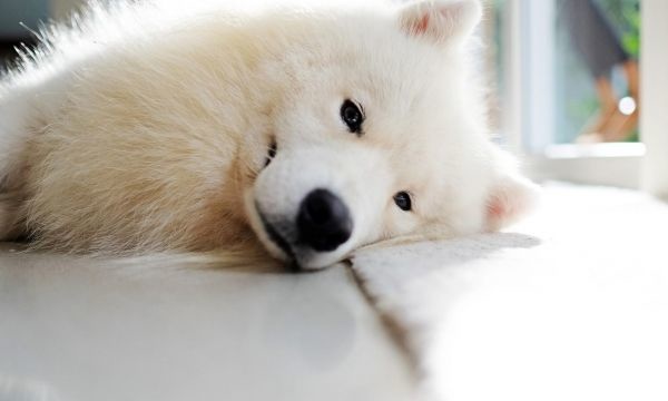 中国历史名人的经典诚信故事