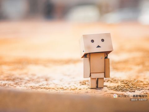 创业成功 热爱自己的工作