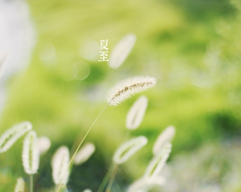 你凭什么上北大—高考励志文章