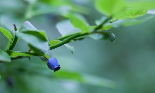 小学生正能量的演讲稿范文