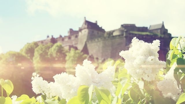 大学生青春励志演讲稿