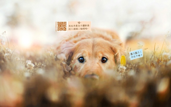 教师关于梦想的励志演讲稿