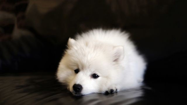 12月青春励志的句子