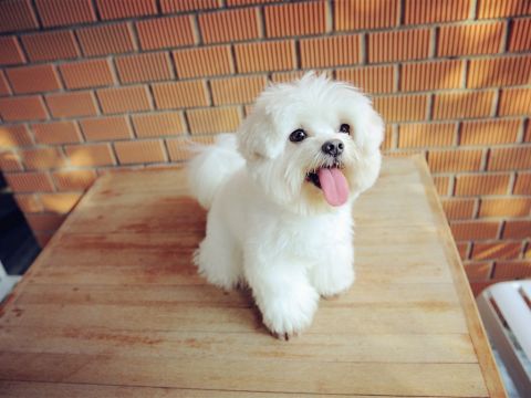 营销传递中国梦正能量演讲稿