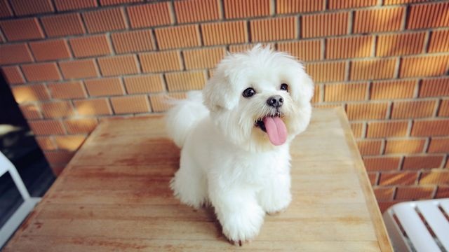 青春励志演讲稿范文800字