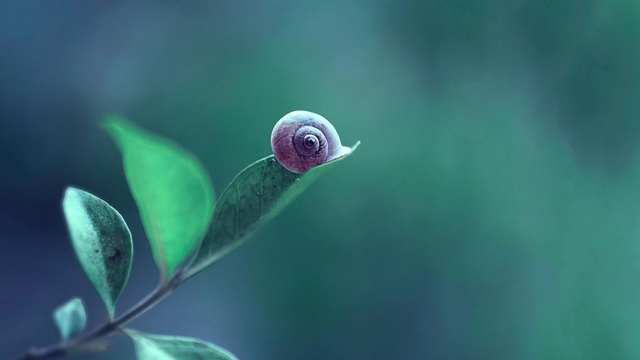 高三励志文章—教师的鼓励