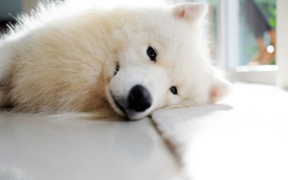 应该对未来充满希望和自信