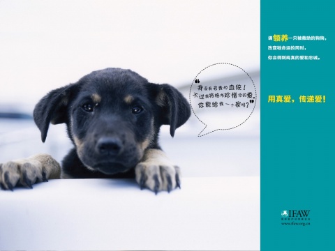学生学习奋斗目标演讲稿