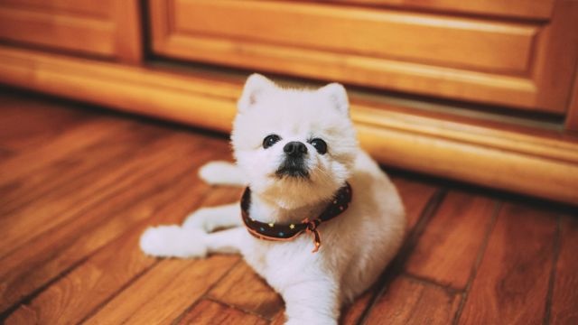有励志故事的4分钟精彩演讲稿