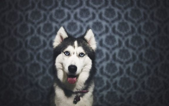 中国当代经典名人传记