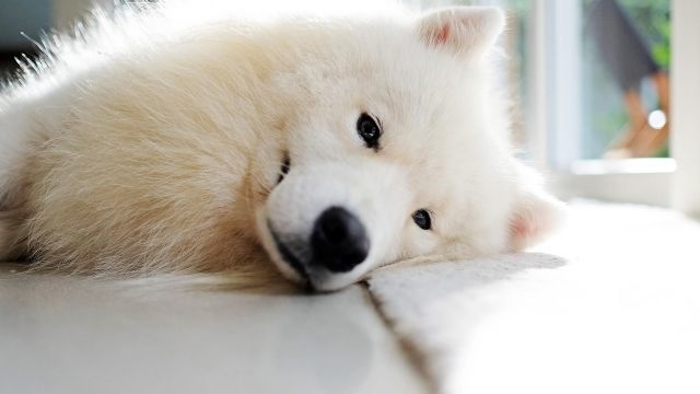 温柔的话语经典语录